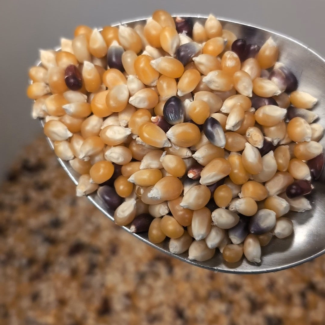 Mighty Corny Size Popcorn - 1 lb Bag