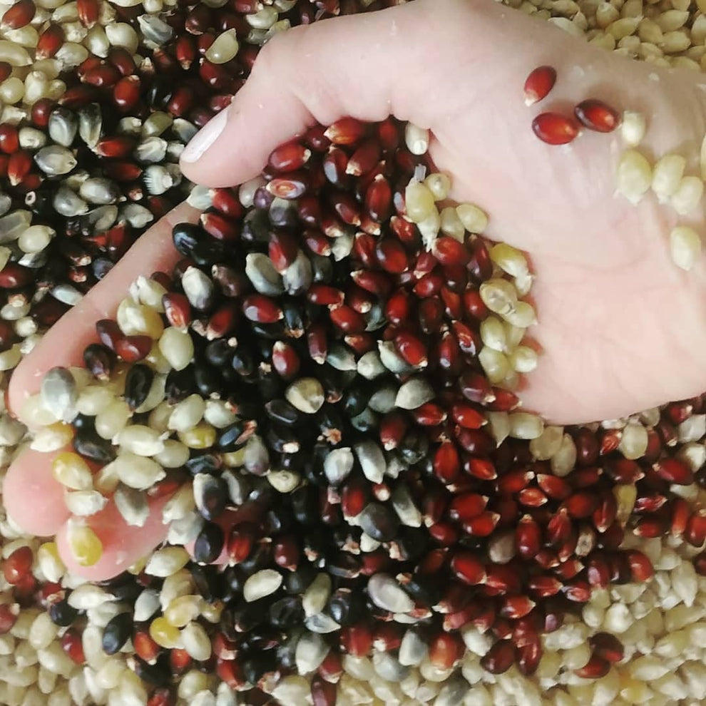 4 lbs Karen's Gourmet Popcorn Kernel Mix – Karen's Artisan Popcorn