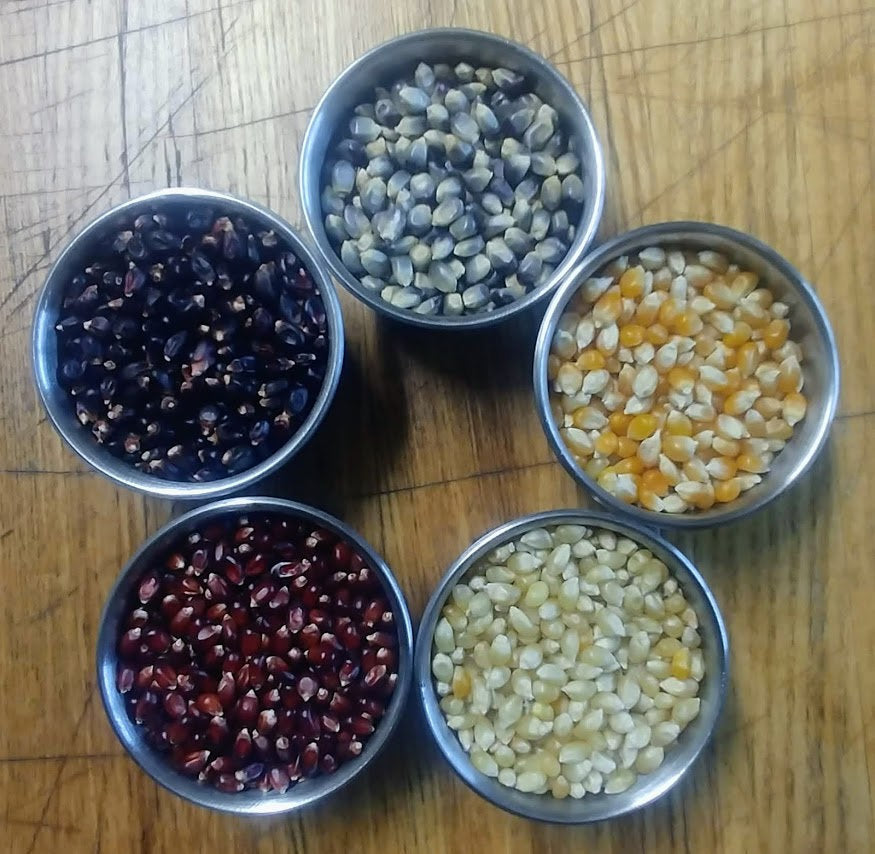 4 lbs Karen's Gourmet Popcorn Kernel Mix (resealable bag)